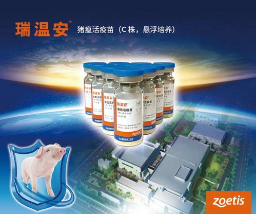 揭秘｜好疫苗是怎樣煉成的？探訪投資2.1億美元建設(shè)的碩騰蘇州工廠
